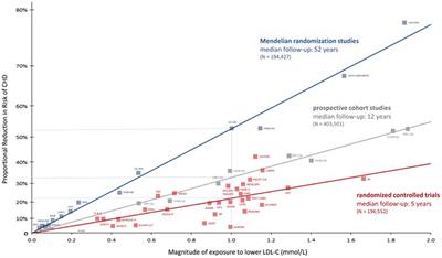 Genetics of Hypercholesterolemia: Comparison Between Familial Hypercholesterolemia and Hypercholesterolemia Nonrelated to LDL Receptor